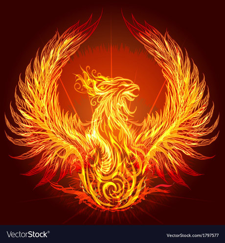 The Dark Bird of Light model beautiful photo