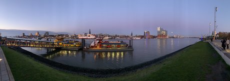 openDavid model high quality photo