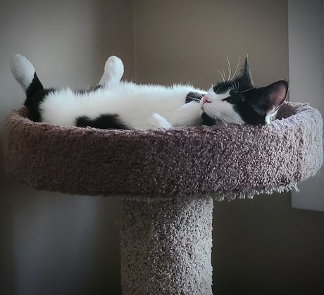 Oreo Cookie nudes actress galleries