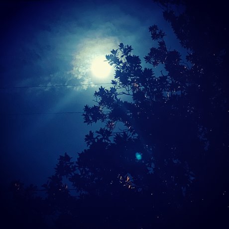 IndigoStar model free archive