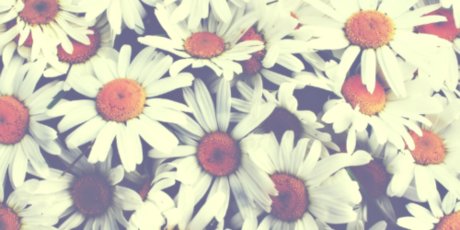 Aria M model exclusive archive