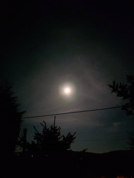 Tribs pornstar nudes archive