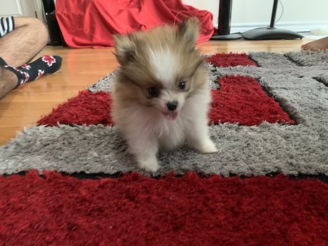 Kaju best pornstar pic