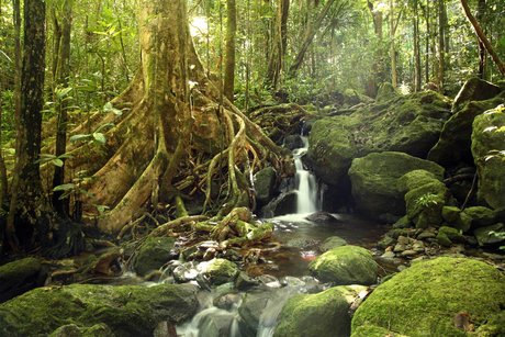 Jackson Blazkowicz nice pornstar photos