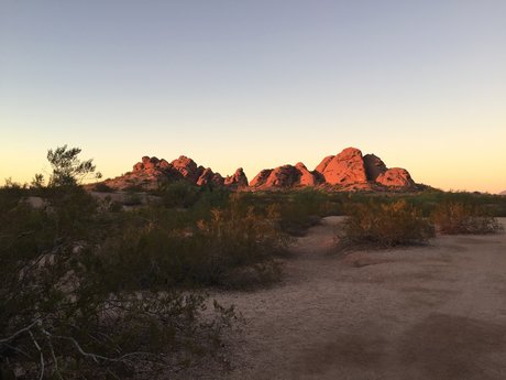 Dana Williams sexy star image