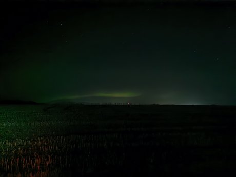 WolfeMan nice model galleries