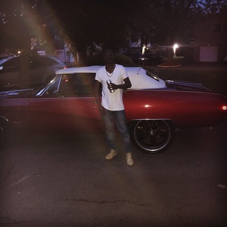 Bogator Mane 614 pretty model gallery