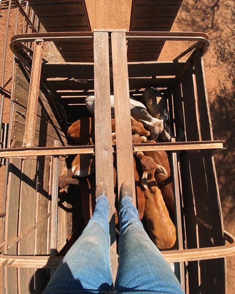 Naughtycowgirl art actress archive