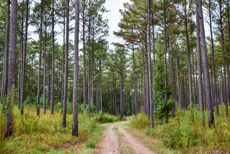 GaCub_ model sexy archive