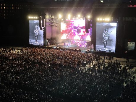 Mackenzie Rose star art photos