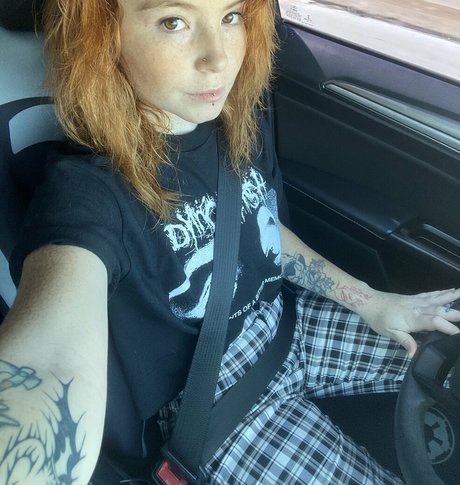 coda baby4 pornstar xxx archive