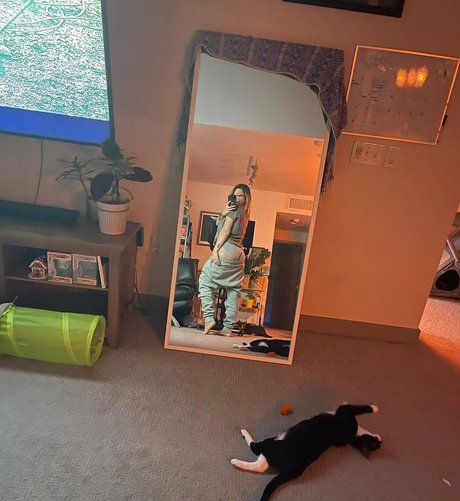 Fooya pornstar top archive