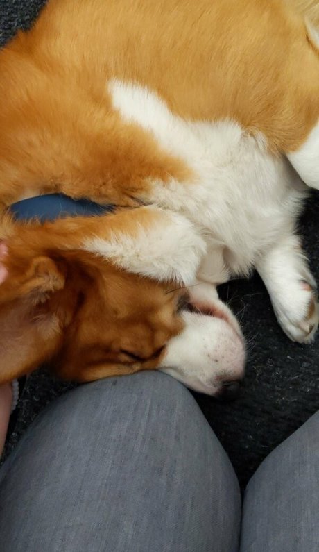 beach blowjob onlyfans hot xxx picture