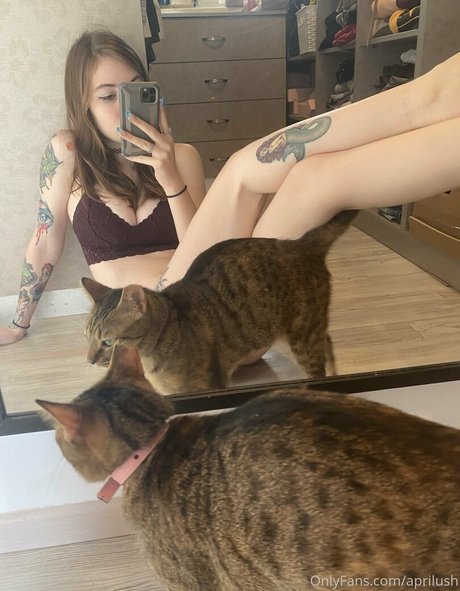 boobs selfie onlyfans beautiful nude archive