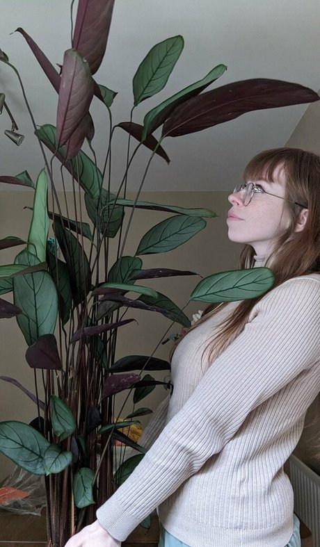 Bat Maisie nude star pics