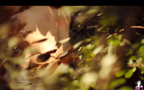 Annalee sex star photo