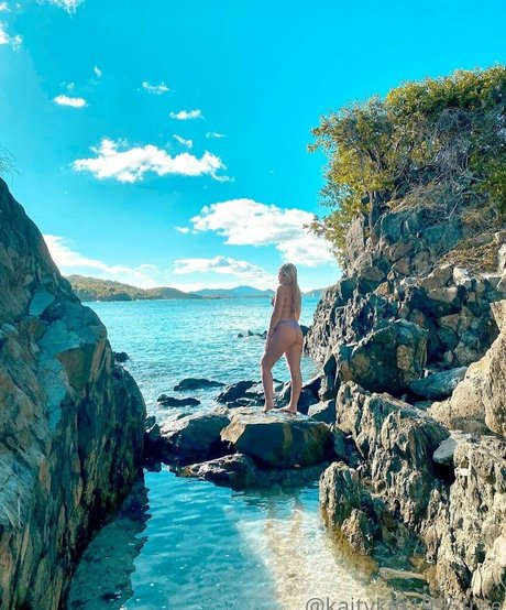 kaitykat1995free star nice img