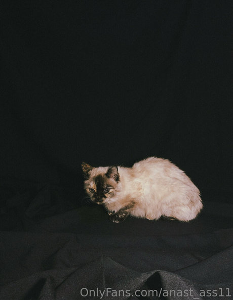 anast ass11 pornstar nudes galleries