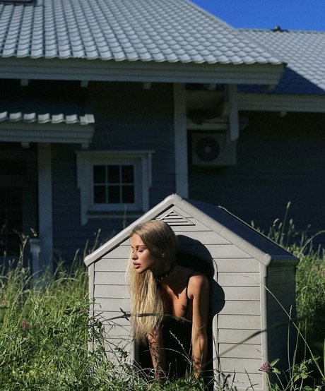 Gubernatar hd pornstar archive