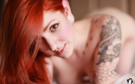 Adona_ pornstar perfect photos