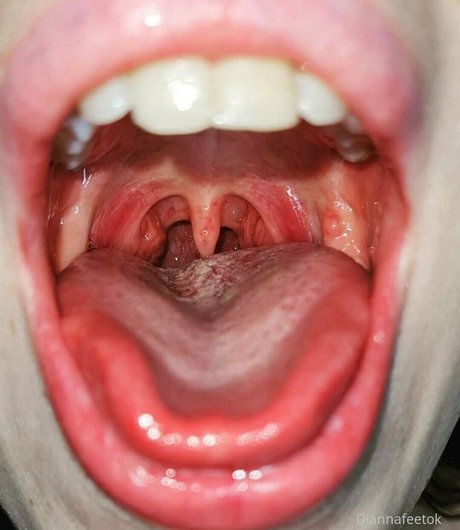 diannamoore adult model image