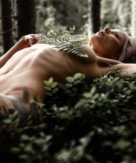 withered rose best star picture