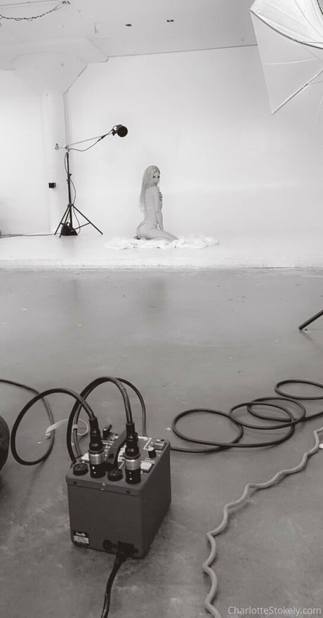 char stokely pornstar naked pic