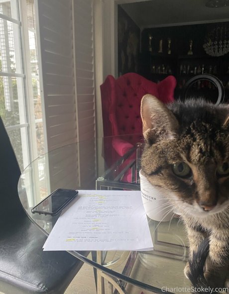 char stokely nudes star gallery