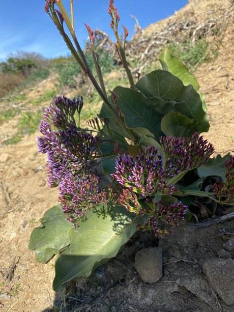 Fun fun naked pornstar gallery