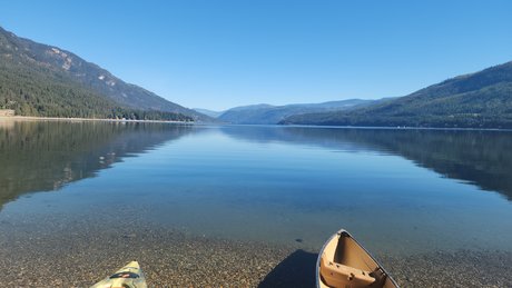 Rednekk Viking star perfect pics