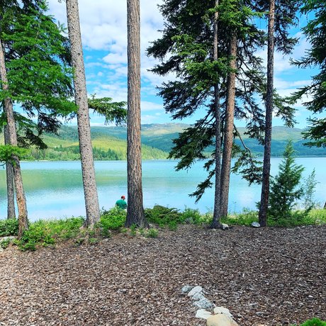 Jak pornstar free image