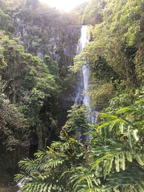 John Smith star adult pictures