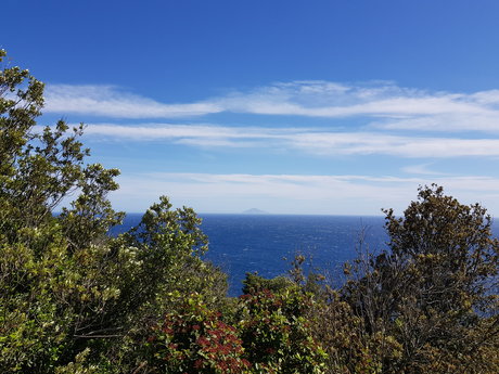 Mrmassi free star pictures