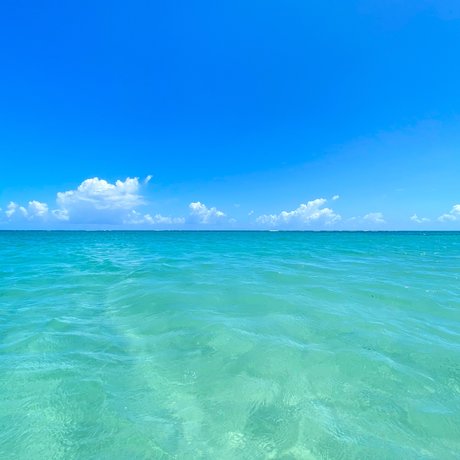 Mr goodbearxxx pornstar erotic pictures