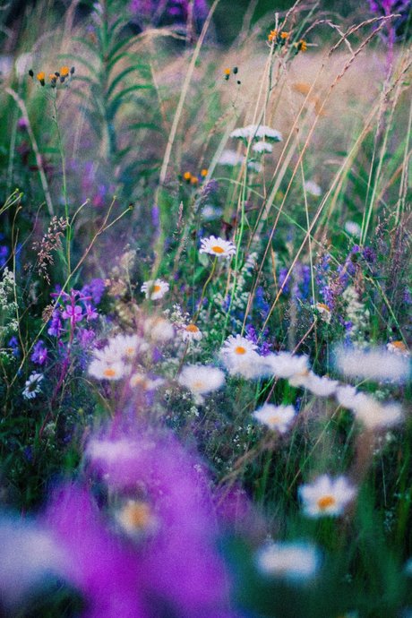 leslieevelynx3 model nudes photo