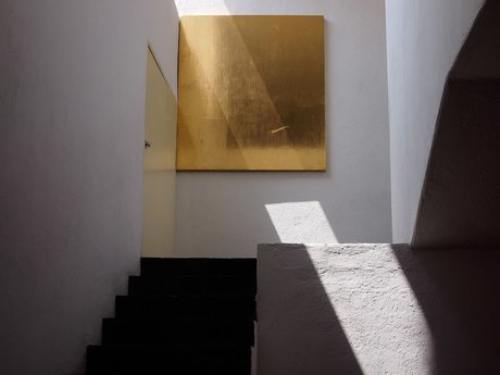 SavagePapillon model perfect image