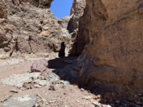 Stuart star nice galleries