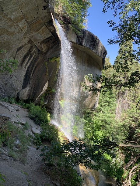 Stuart high quality star photos