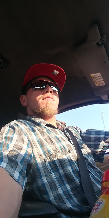 PAF DOG ENT free model img