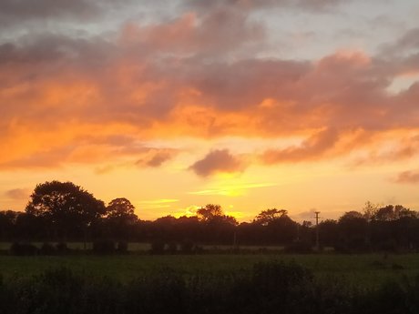 Thefixo top actress image