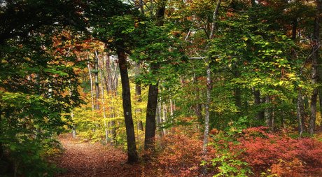 zachhh perfect actress pic