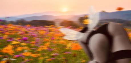 Refia erotic pornstar pictures