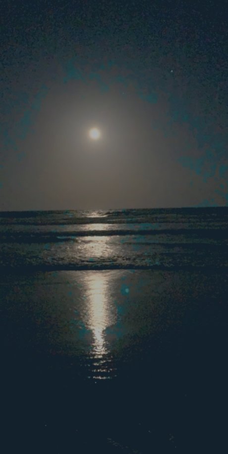 Just Jess pretty model photo