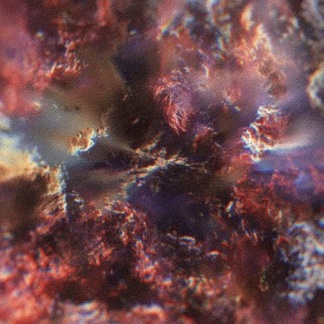 black xxx onlyfans hot nude photos