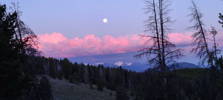 pharmacist onlyfans sexy xxx images