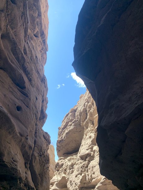 Abbyrose sex star image