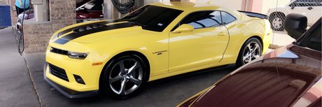 Eliesher97 pornographic actress archive