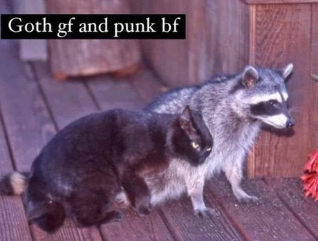 Tommy and Aynnnje FTW nude actress images