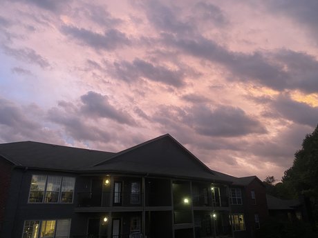 HeavenlyFeet pornstar art gallery