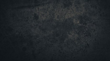 Abbey Lee_ pornographic model picture